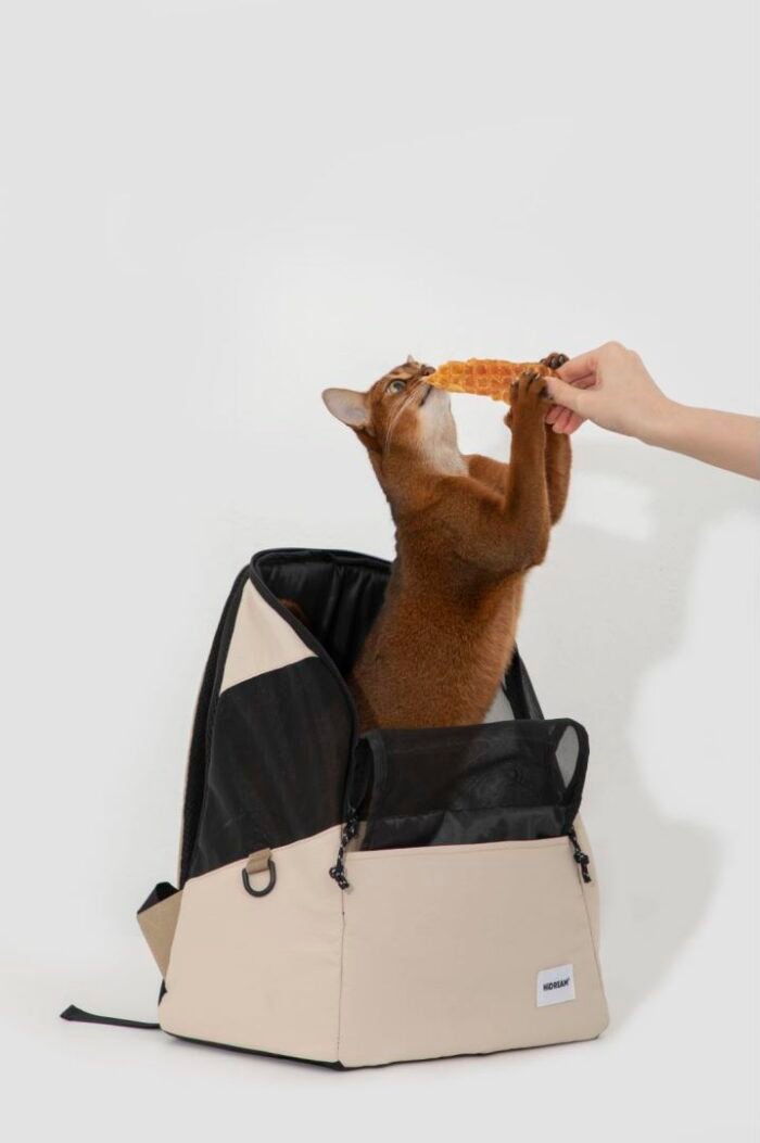 Backpack - Image 5