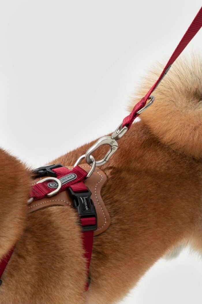 Harness  (Leather series) - Image 3