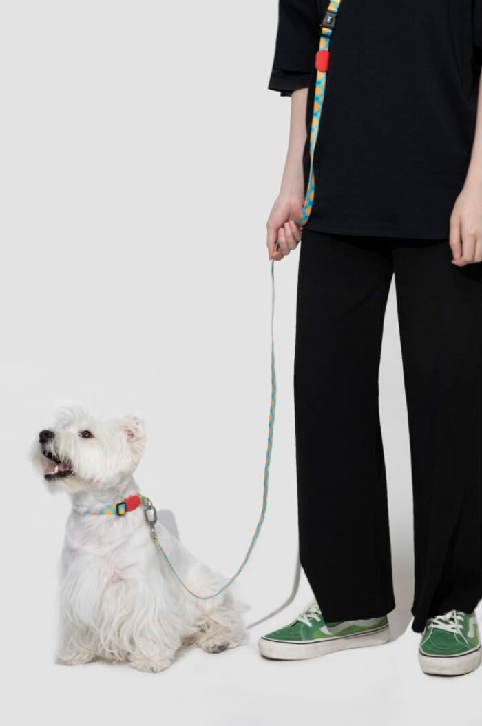 Collar (PRO series) - Image 11
