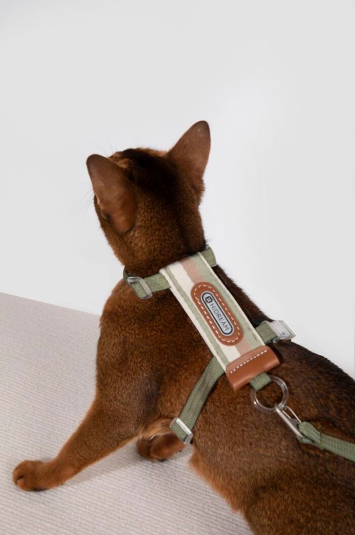 Harness walk-striped collection - Image 2