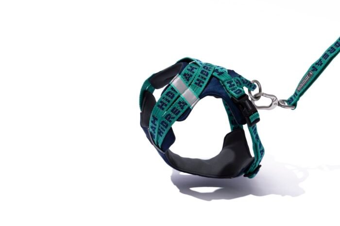 Harness (Bobo series) - Image 9