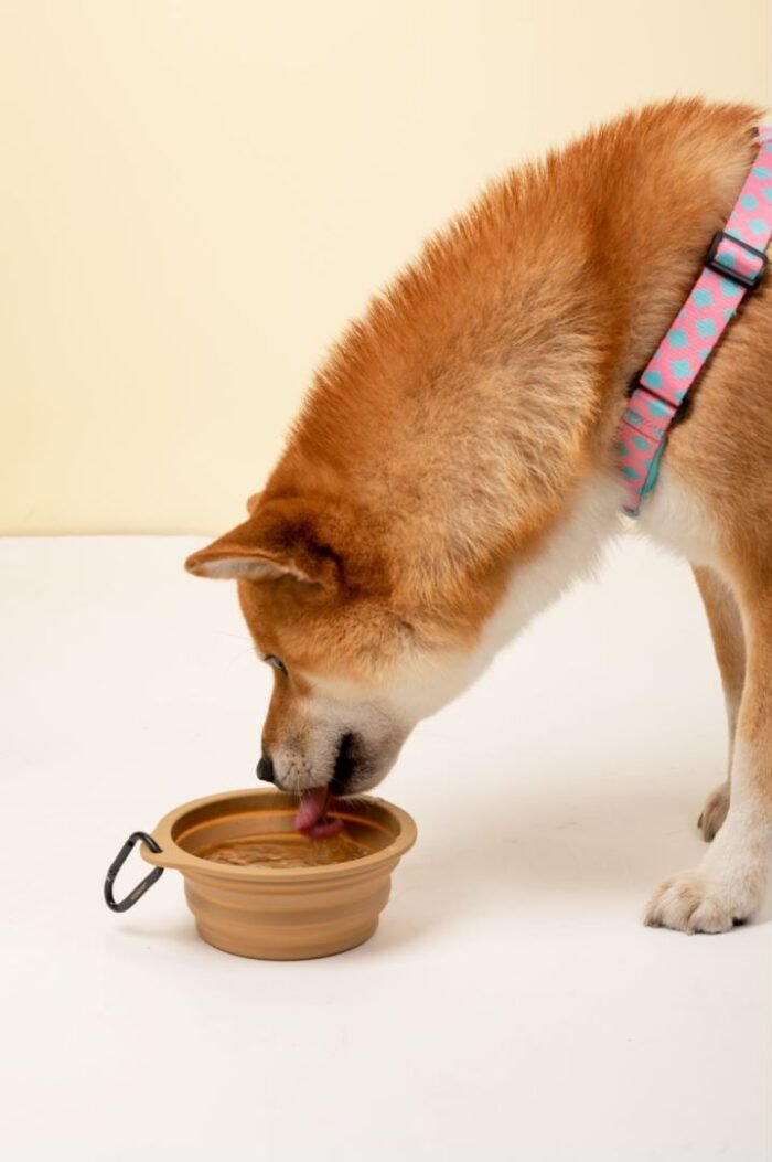 Foldable silicone bowl - Image 2