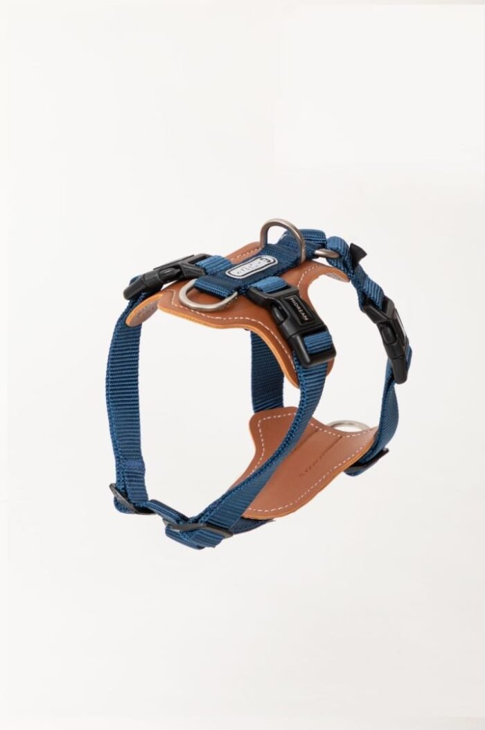 Harness  (Leather series) - Image 12