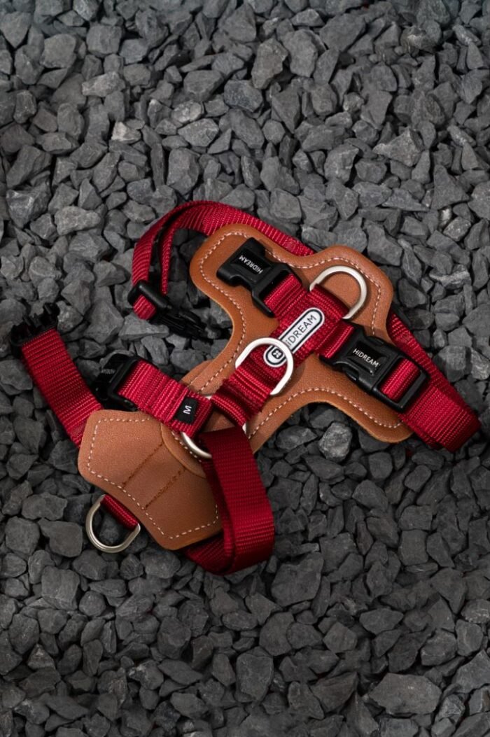 Harness  (Leather series) - Image 13