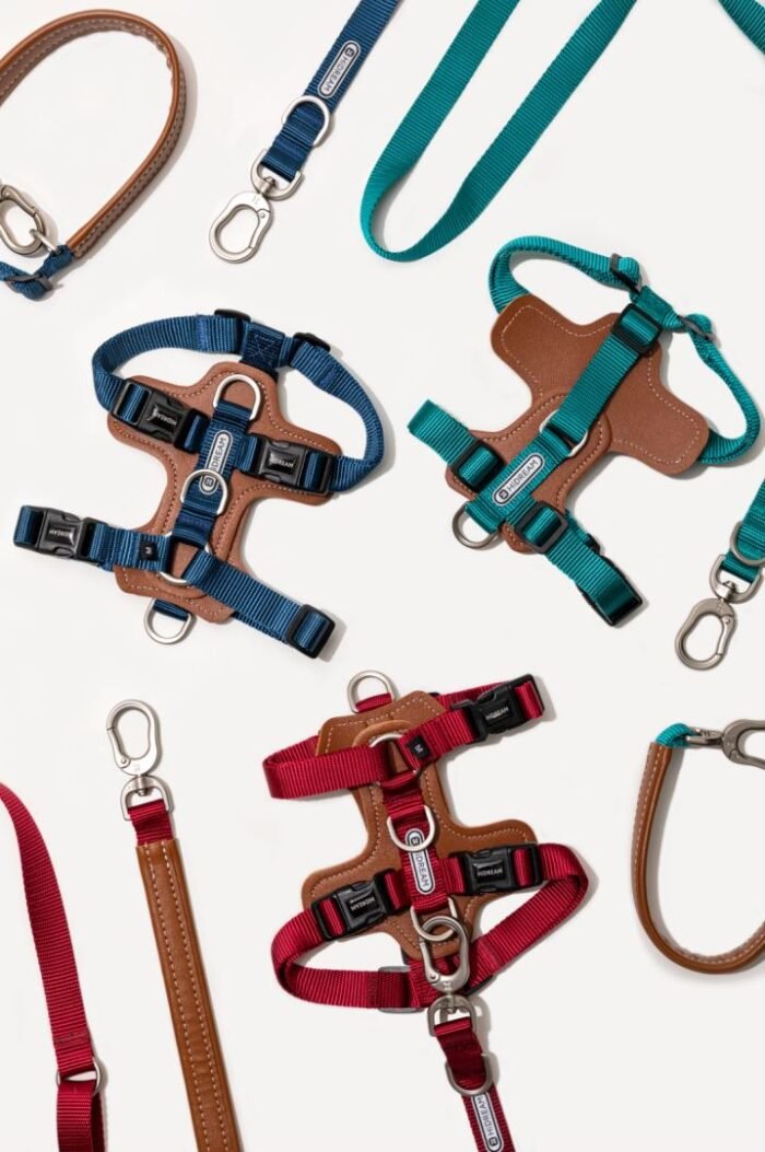 Harness  (Leather series) - Image 15