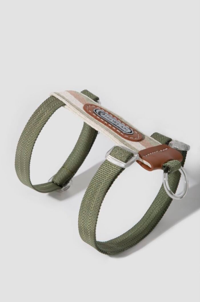 Harness walk-striped collection - Image 15