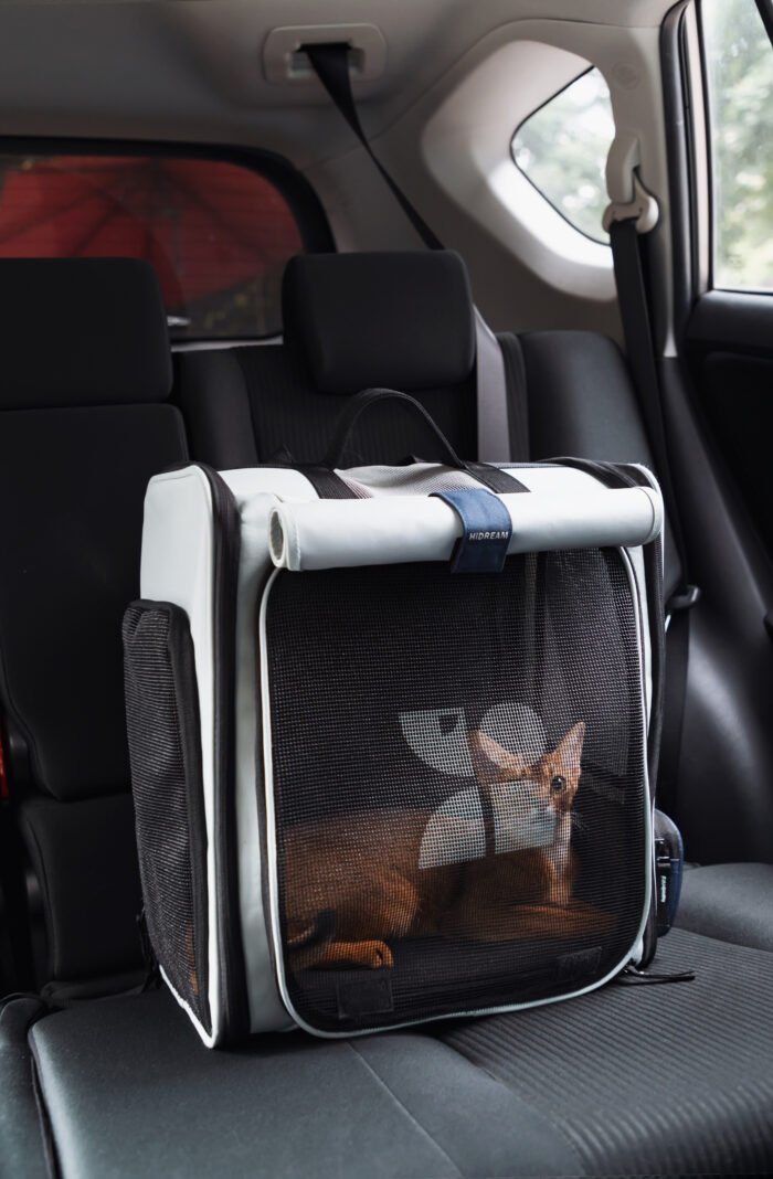 Backpack with a tent - Image 5