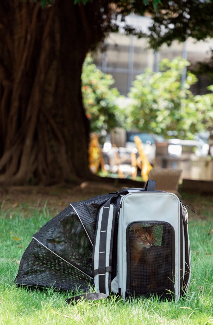 Backpack with a tent - Image 1