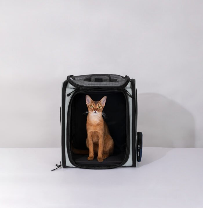Backpack with a tent - Image 17