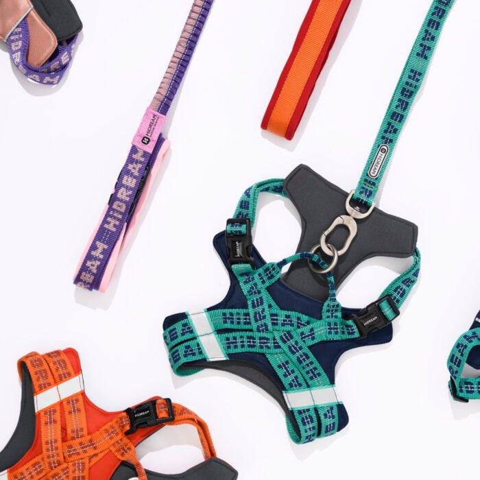 Harness Leash Set (Bobo series) - Image 2