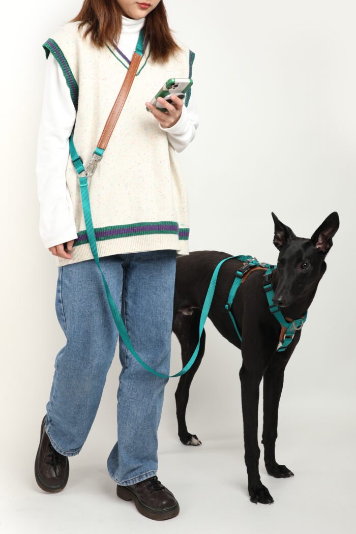Leash (Leather series) - Image 1