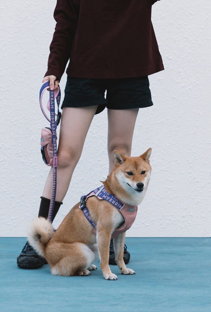Harness Leash Set (Bobo series) - Image 4