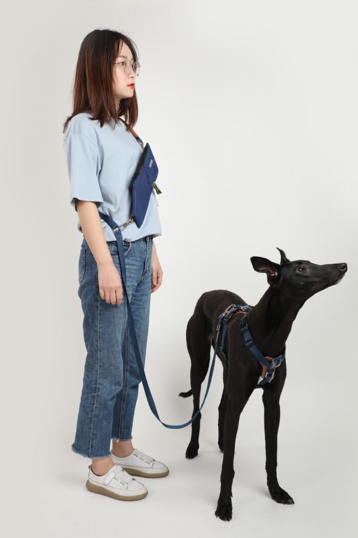 Leash (Leather series) - Image 3