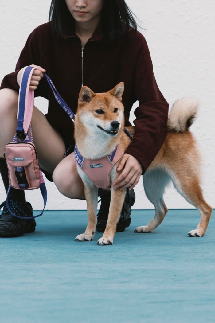 Harness Leash Set (Bobo series) - Image 5
