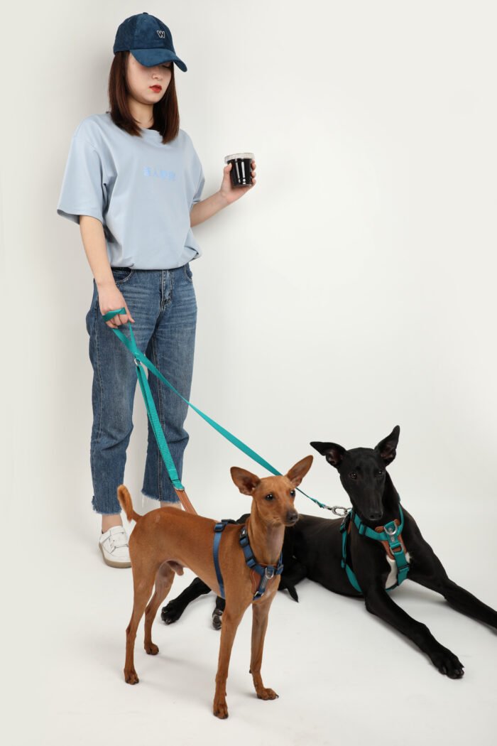 Leash (Leather series) - Image 4