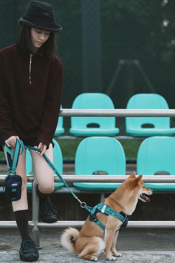 Leash (Bobo series) - Image 2