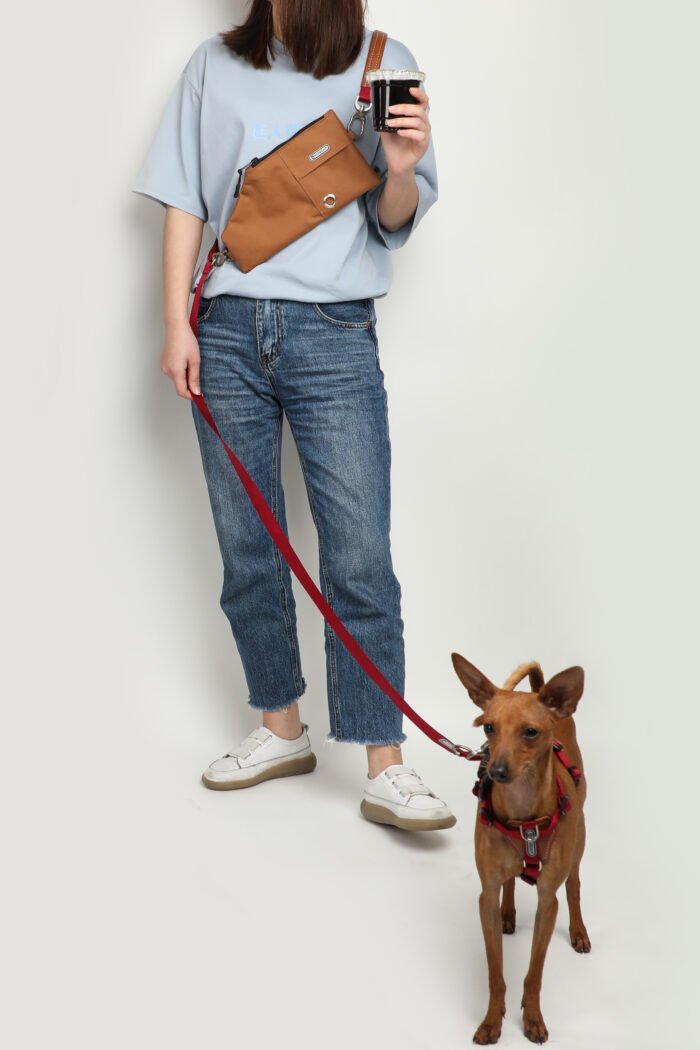Leash (Leather series) - Image 5