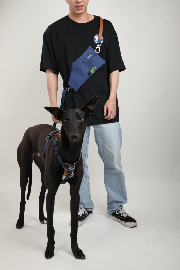 Harness,Leash,Bag Set (Leather series) - Image 6