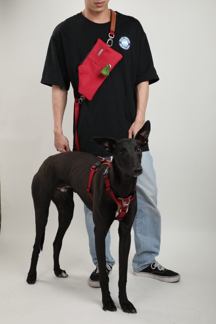 Harness,Leash,Bag Set (Leather series) - Image 5