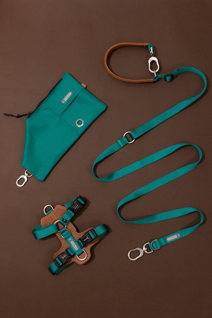 Harness,Leash,Bag Set (Leather series) - Image 3