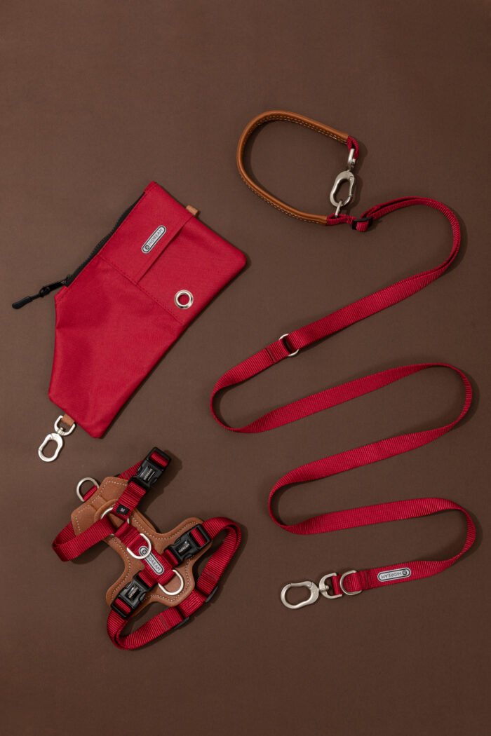 Harness,Leash,Bag Set (Leather series) - Image 4