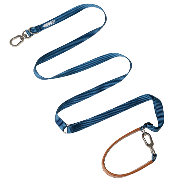 Leash (Leather series) - Image 12
