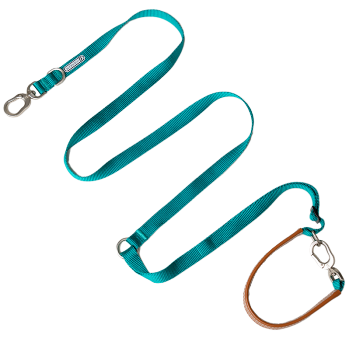 Leash (Leather series) - Image 11