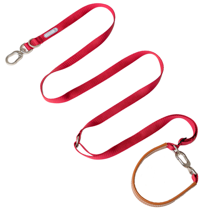 Leash (Leather series) - Image 10
