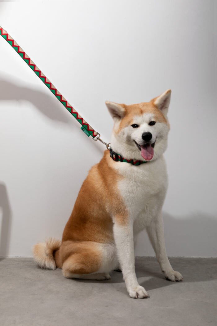 Collar (Rainbow series) - Image 9