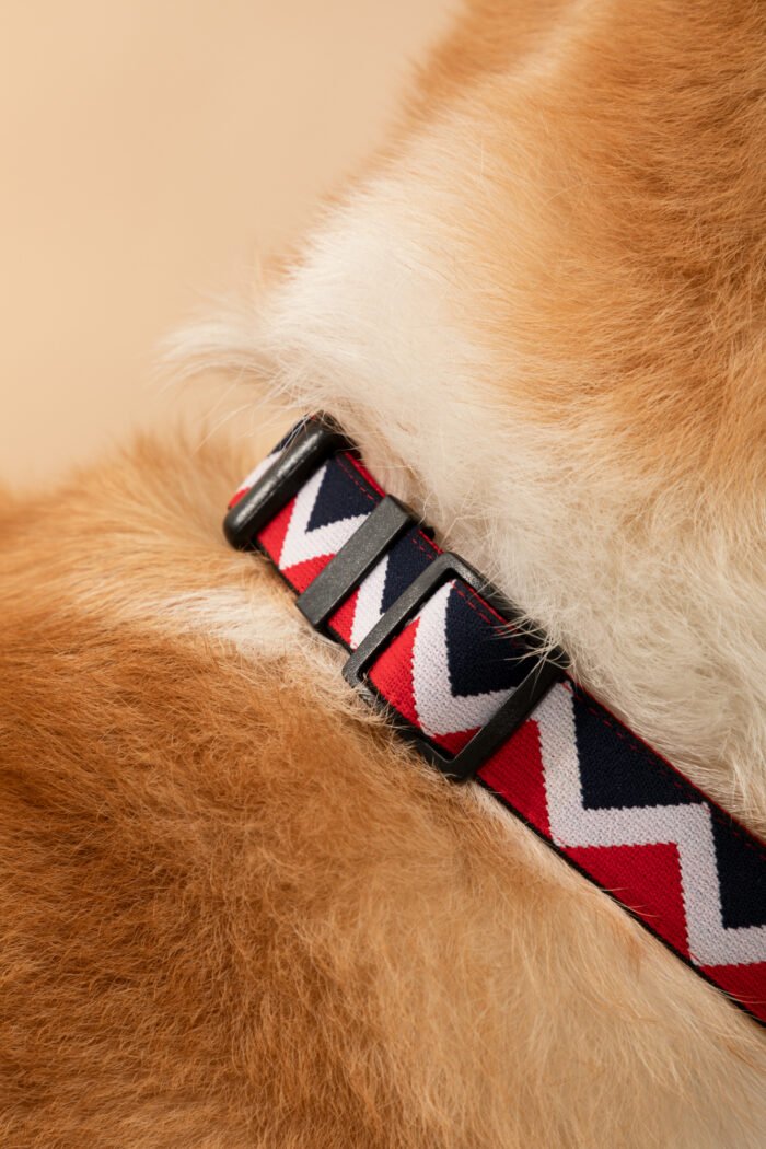 Collar (Rainbow series) - Image 18