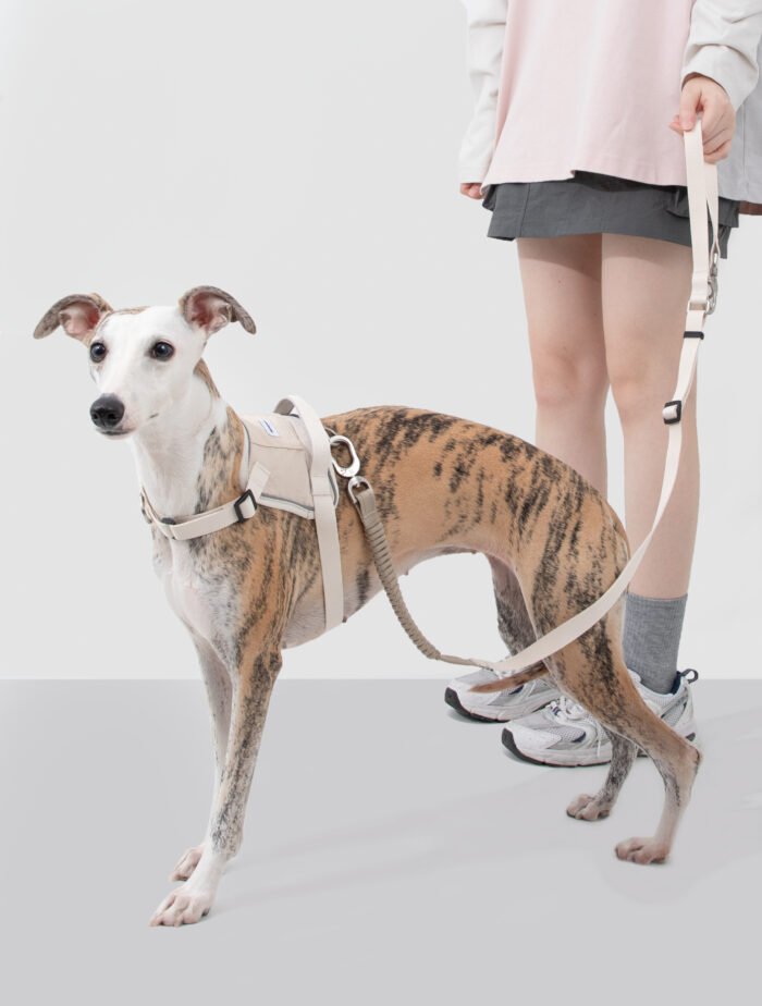 Bungee Leash （Valley Series） - Image 2
