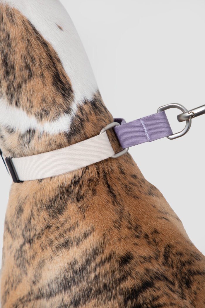 Collar（Valley Series） - Image 10