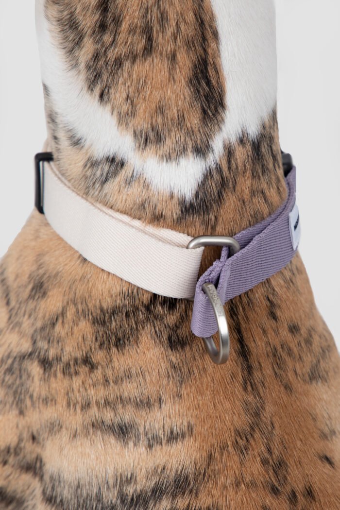 Collar（Valley Series） - Image 2