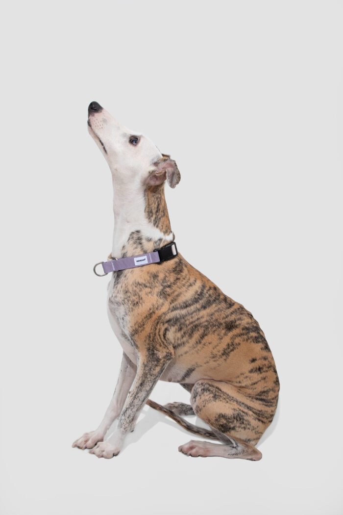 Collar（Valley Series） - Image 9