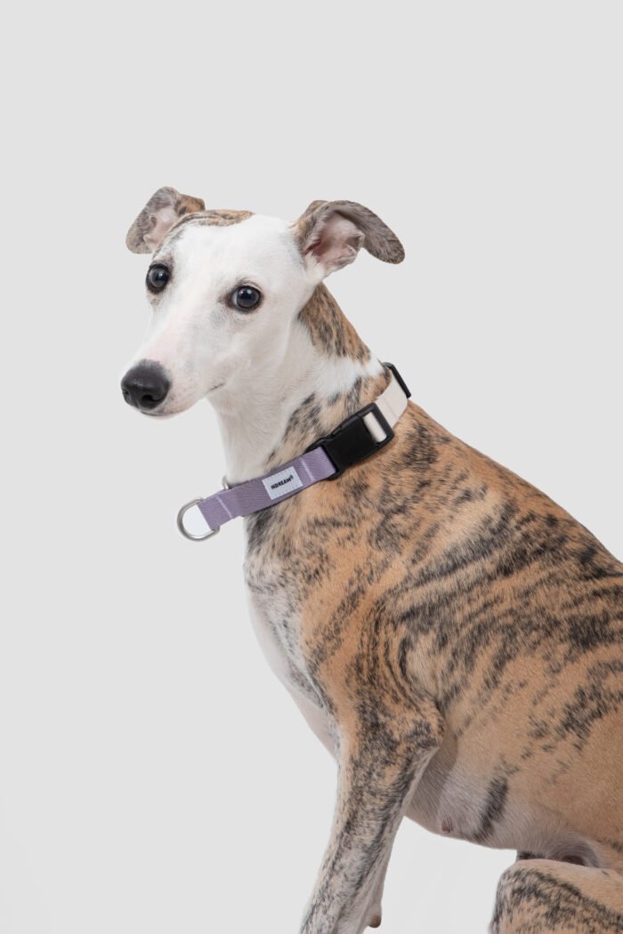 Collar（Valley Series） - Image 1