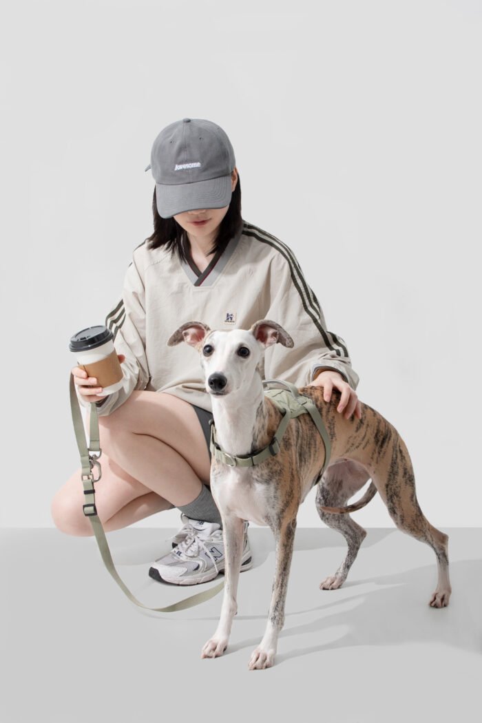 Bungee Leash （Valley Series） - Image 3