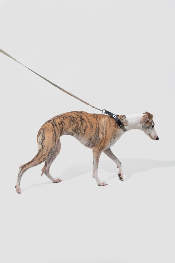 Collar（Valley Series） - Image 4