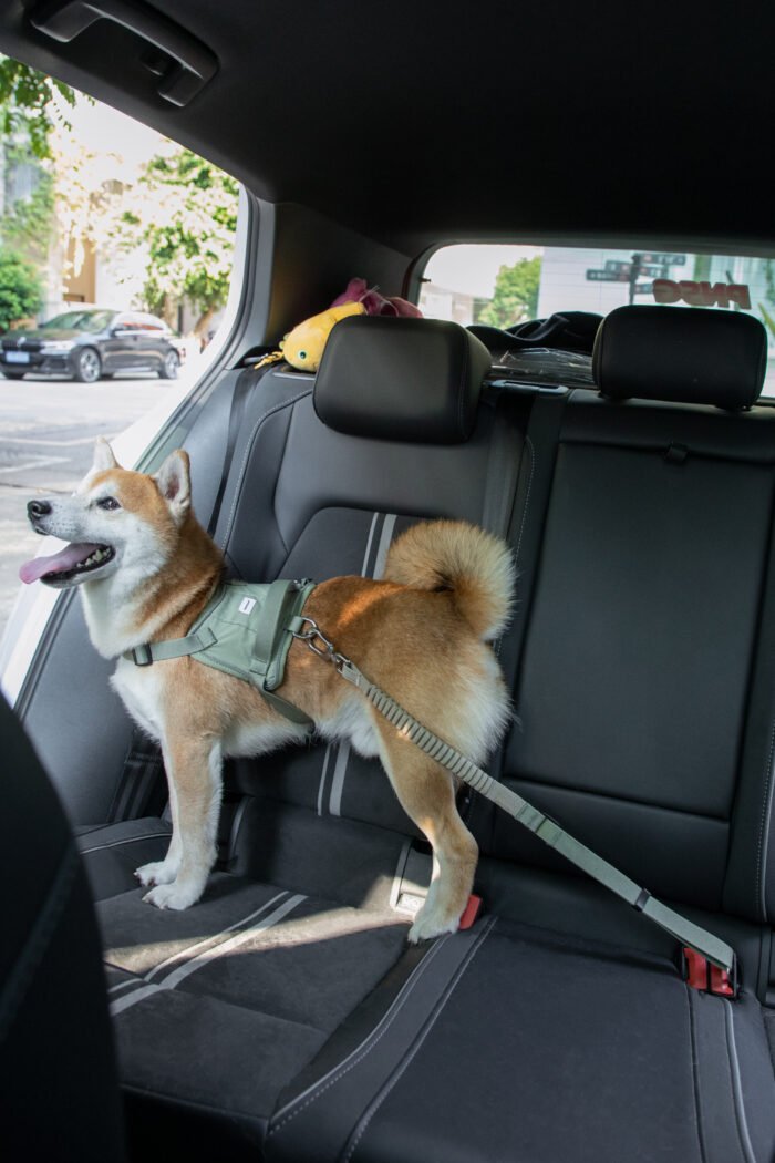 Pet Car Safety Belt（Valley Series） - Image 6