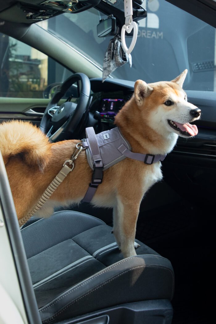 Pet Car Safety Belt（Valley Series） - Image 4
