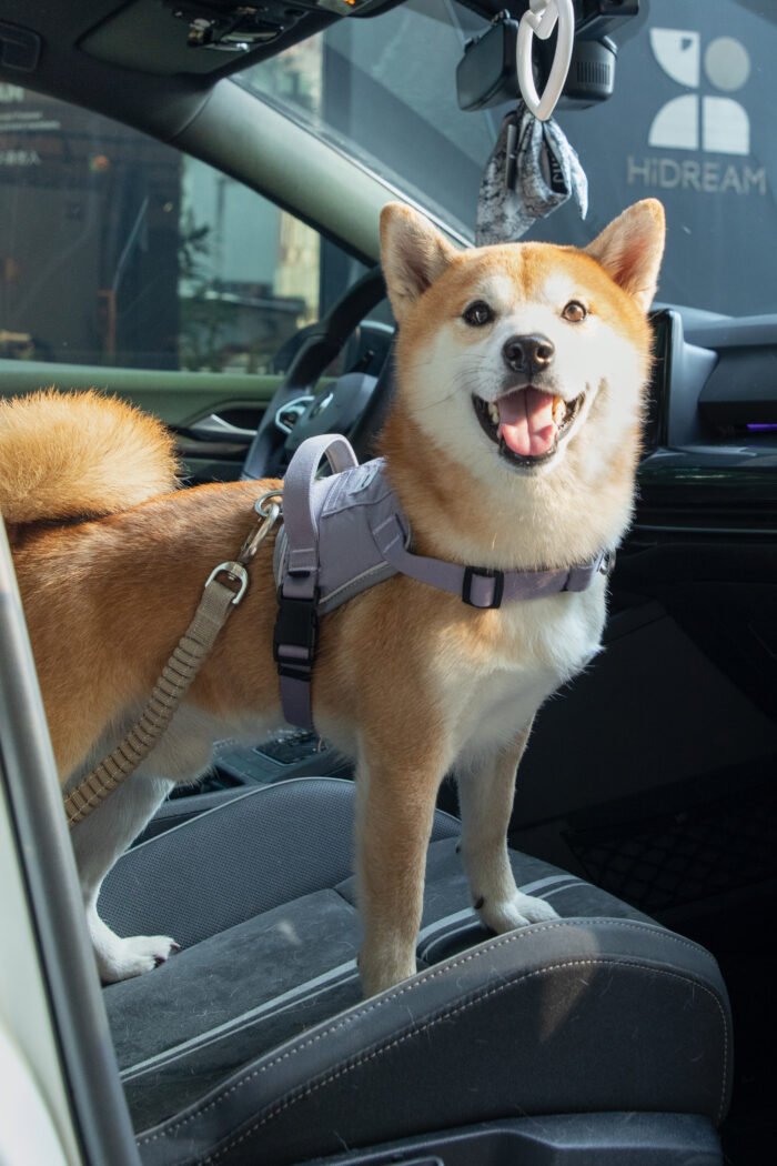 Pet Car Safety Belt（Valley Series） - Image 1