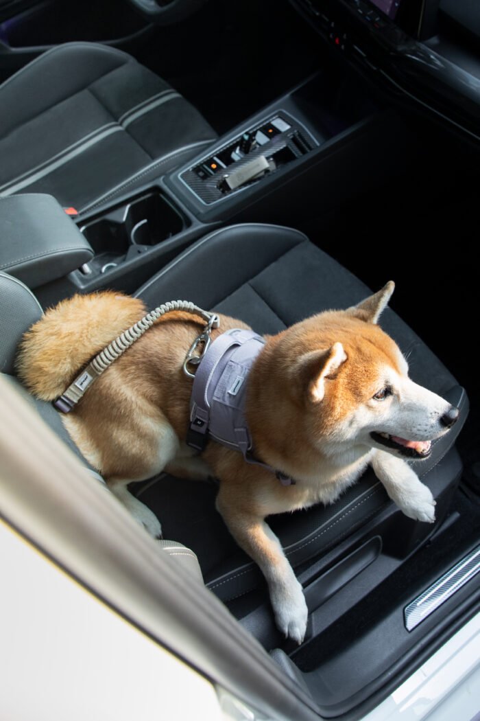 Pet Car Safety Belt（Valley Series） - Image 2